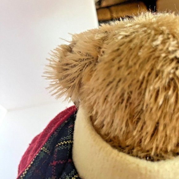 Effanbee Oh Josh The Urban bear 16" Mohair Bear Jointed Plush Essentials Collect - Picture 16 of 16